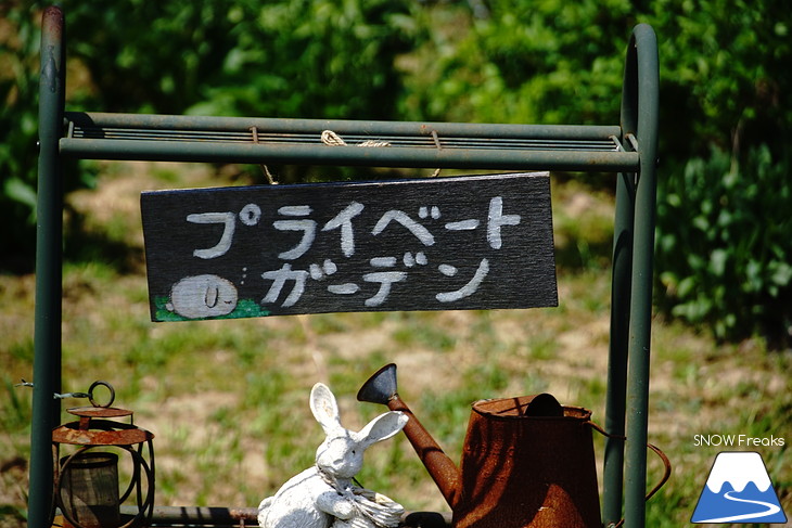 倶知安旭ヶ丘スキー場と三島さん家の芝桜の丘。